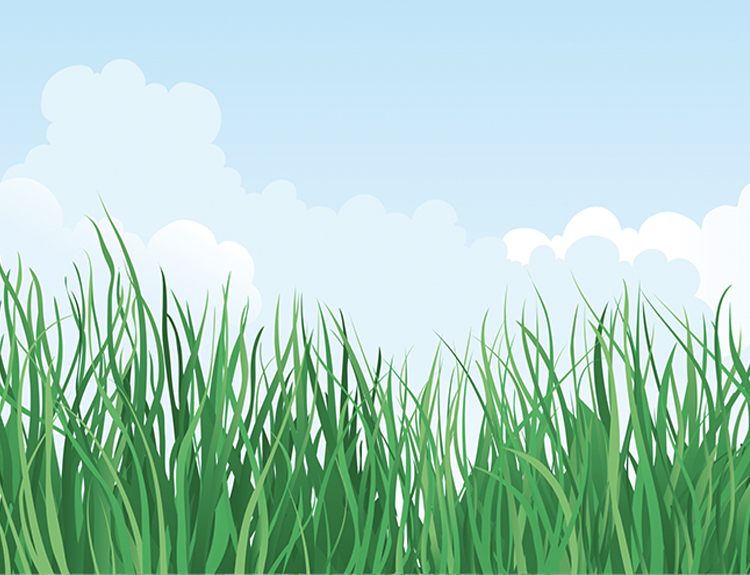 Expanded Polystyrene (EPS) and the Environment
